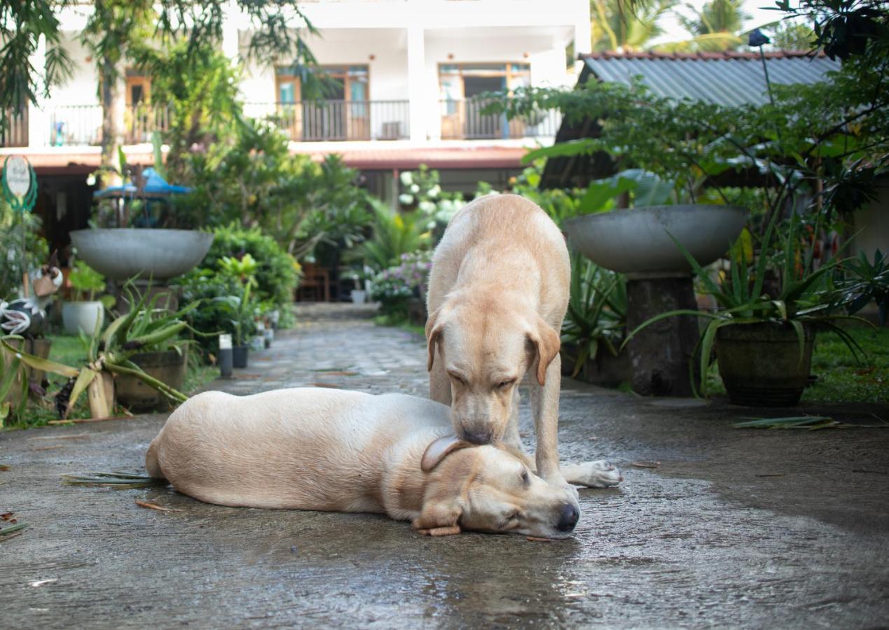 Garden Villa ทาลัลลา เซาธ์ ภายนอก รูปภาพ