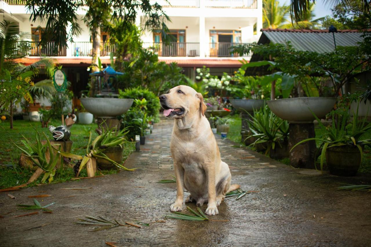 Garden Villa ทาลัลลา เซาธ์ ภายนอก รูปภาพ